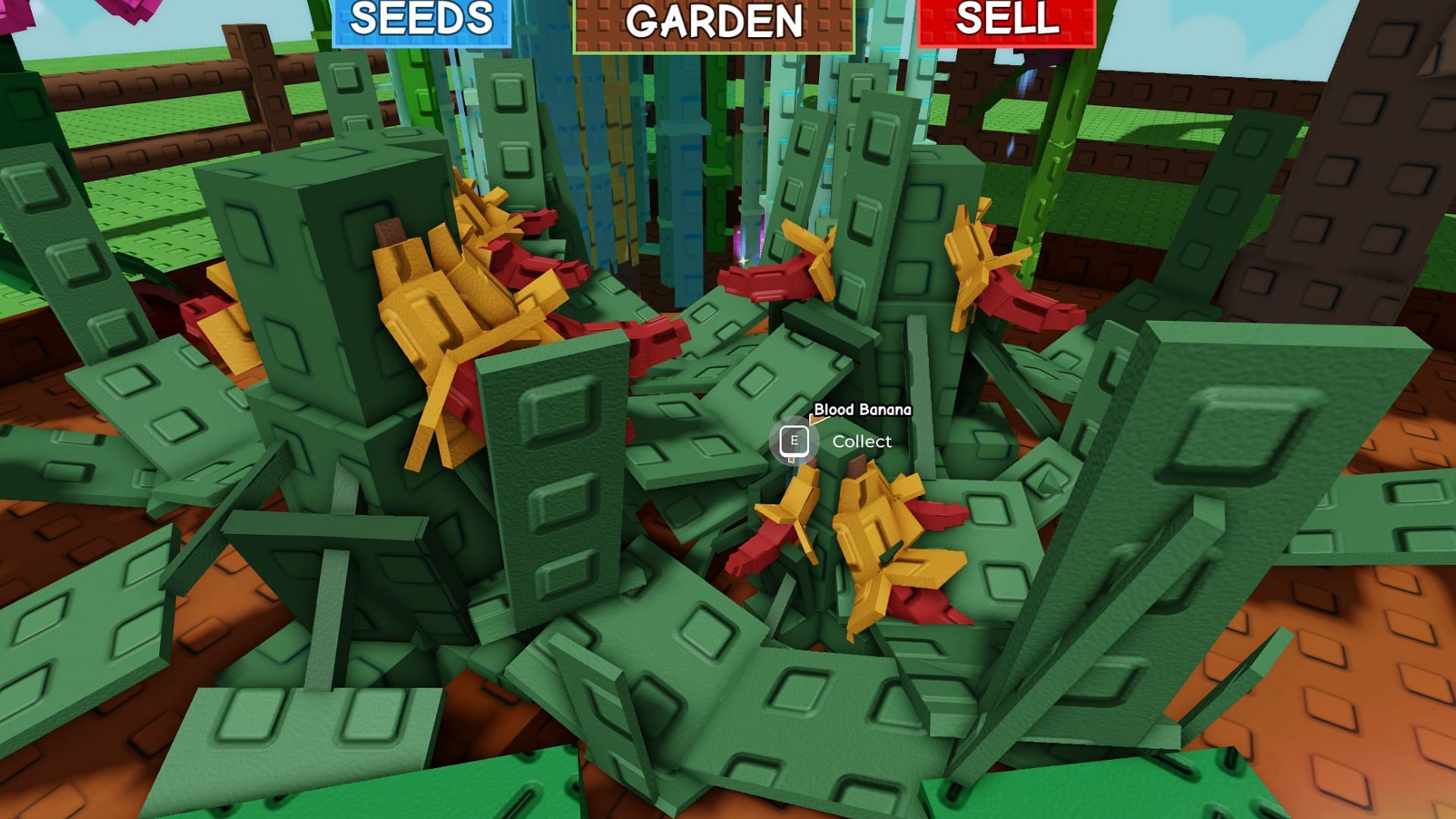 The plant grows multiple fruits at once (Image via Roblox)